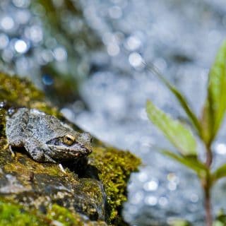 Ο Εθνικός Δρυμός του Ολύμπου, που είναι ο πρώτος στην Ελλάδα και από τους παλιότερους χαρακτηρισμένους δρυμούς του κόσμου, δημιουργήθηκε το 1937.
The National Park of Olympus, which was the first to be established in Greece (1937) and one of the oldest ones in the world.

📸 Photo by : @gianniszarzonis
Official tag: #themountolympus

#naturephotography #nature #mountains #mountainscape #mountainslovers #outdoors #view #outdoorslife #explore #landscapephotography #mountainsofgreece #greeklandscape #escapegreece #winter #escapegreece #mountolympus #mountainofmyth  #naturelover #naturephotography #natureshot #NatureEscape  #tree #greece🇬🇷 #greecemountain #mountainlife #earth #naturelovers #mountolympusland #experienceolympus