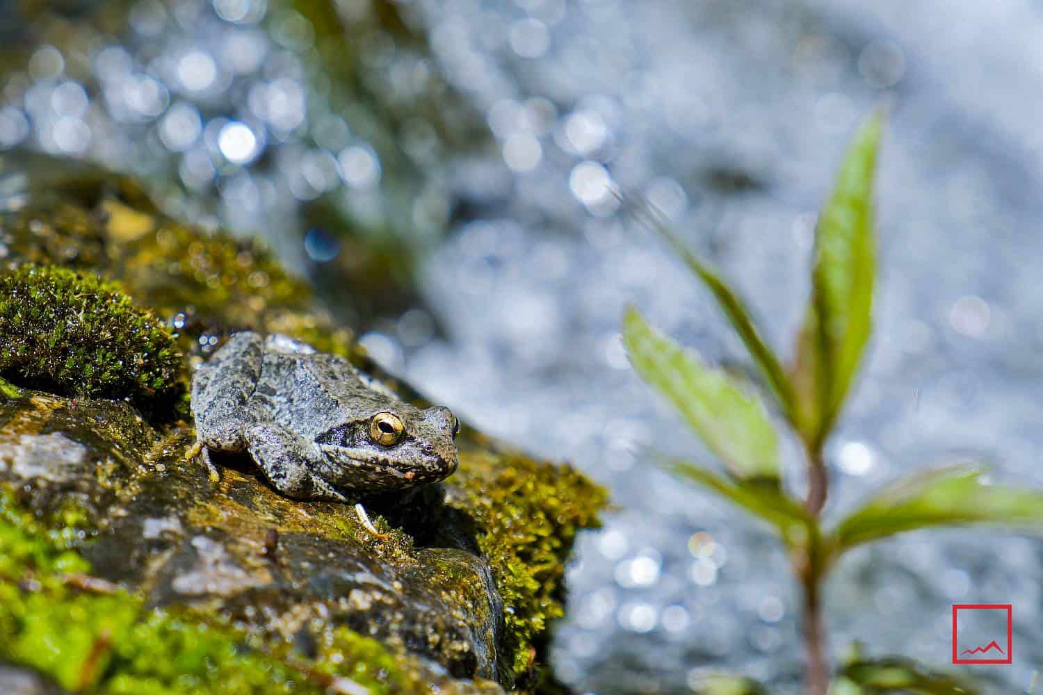 Ο Εθνικός Δρυμός του Ολύμπου, που είναι ο πρώτος στην Ελλάδα και από τους παλιότερους χαρακτηρισμένους δρυμούς του κόσμου, δημιουργήθηκε το 1937.
The National Park of Olympus, which was the first to be established in Greece (1937) and one of the oldest ones in the world.

📸 Photo by : @gianniszarzonis
Official tag: #themountolympus

#naturephotography #nature #mountains #mountainscape #mountainslovers #outdoors #view #outdoorslife #explore #landscapephotography #mountainsofgreece #greeklandscape #escapegreece #winter #escapegreece #mountolympus #mountainofmyth  #naturelover #naturephotography #natureshot #NatureEscape  #tree #greece🇬🇷 #greecemountain #mountainlife #earth #naturelovers #mountolympusland #experienceolympus