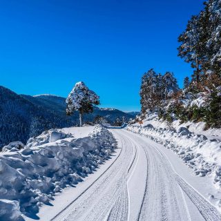Route: Karya - Leptokarya
Διαδρομή: Καρυά - Λεπτοκαρυά

📸 Photo by @gianniszarzonis
Official tag: #themountolympus

#mountainofmyth #explore #blackandwhite #winterwonderland #blackandwhitephoto #mountainscape #outdoors #greekmountains⛰ #wintervibes #mountainlovers #winter #greekmountains #greeklandscape #mountains #mountolympus #view #mountainslovers #naturephotography #outdoorslife #landscapephotography #nature #mountainsofgreece #natureshot #naturelover #NatureEscape #greece🇬🇷 #snowing #snowpeaks