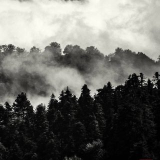 Διαδρομή: Καρυά - Λεπτοκαρυά
Route: Karya - Leptokarya

📸 Photo by: @gianniszarzonis
Official tag: #themountolympus

 #themountainofmyth #escapegreece🇬🇷 #escapegreece #zarzonis #gianniszarzonis #winter #greeklandscape #mountainscape #mountainofmyth #explore #outdoors #greekmountains #greekmountains⛰ #mountainlovers #wintervibes #winter #winterwonderland #blackandwhite #blackandwhitephotography #blackandwhitephoto #blackandwhitephotography #greeklandscape #mountofgreece