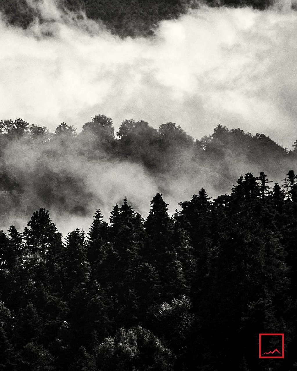 Διαδρομή: Καρυά - Λεπτοκαρυά
Route: Karya - Leptokarya

📸 Photo by: @gianniszarzonis
Official tag: #themountolympus

 #themountainofmyth #escapegreece🇬🇷 #escapegreece #zarzonis #gianniszarzonis #winter #greeklandscape #mountainscape #mountainofmyth #explore #outdoors #greekmountains #greekmountains⛰ #mountainlovers #wintervibes #winter #winterwonderland #blackandwhite #blackandwhitephotography #blackandwhitephoto #blackandwhitephotography #greeklandscape #mountofgreece