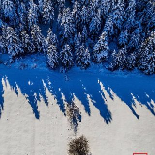 Χιονισμένη διαδρομή.
Snowy route.

📸 Photo by: @gianniszarzonis
Official tag: #themountolympus

#themountainofmyth #escapegreece🇬🇷 #escapegreece #zarzonis #gianniszarzonis #winter #greeklandscape #mountainscape #mountainofmyth #explore #outdoors #greekmountains #greekmountains⛰ #mountainlovers #wintervibes #winter #winterwonderland #blackandwhite #blackandwhitephotography #blackandwhitephoto #blackandwhitephotography #greeklandscape #mountofgreece#mountainofmyth #greekmountains🇬🇷