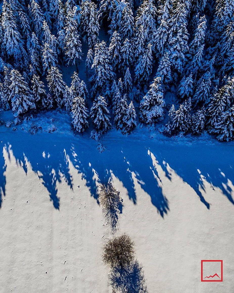 Χιονισμένη διαδρομή.
Snowy route.

📸 Photo by: @gianniszarzonis
Official tag: #themountolympus

#themountainofmyth #escapegreece🇬🇷 #escapegreece #zarzonis #gianniszarzonis #winter #greeklandscape #mountainscape #mountainofmyth #explore #outdoors #greekmountains #greekmountains⛰ #mountainlovers #wintervibes #winter #winterwonderland #blackandwhite #blackandwhitephotography #blackandwhitephoto #blackandwhitephotography #greeklandscape #mountofgreece#mountainofmyth #greekmountains🇬🇷