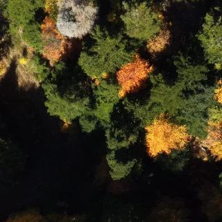 Η περιοχή της Καρυάς Ελασσόνας μέσα στα χρώματα του φθινοπώρου, ανάμεσα σε δάση και διαδρομές που αποκαλύπτουν τη θεσσαλική πλευρά 
του Ολύμπου.

The region of Karya Elassonas in the colors of autumn, among forests and routes revealing the Thessalian side of Mount Olympus.

📸 Video by @gianniszarzonis
Official tag: #themountolympus

#themountolympus #mountolympus #karya #olympusmountain #pieria #thessaly #greece #autumn #naturegreece #escapegreece  #landscape #mountainvillage